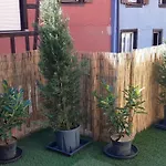 L'appart Avec Terrasse - Centre Historique