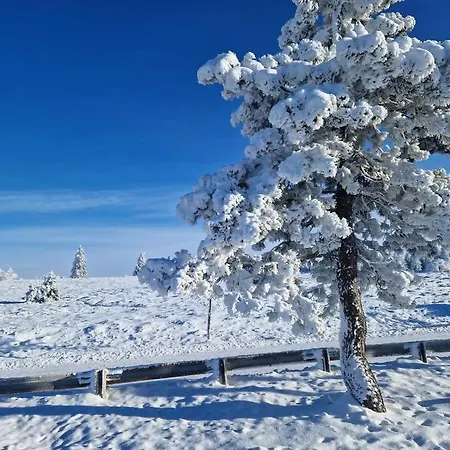 L'appart Avec Terrasse - Centre Historique *