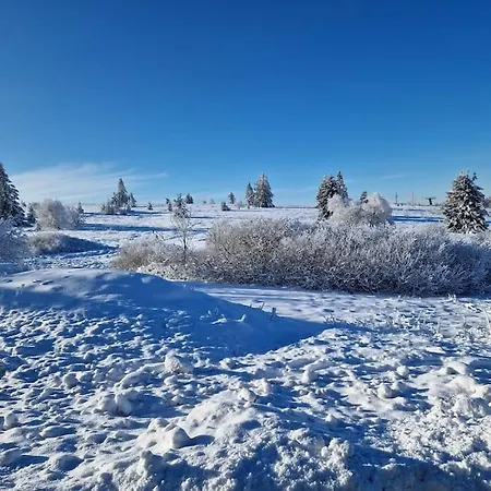 L'appart Avec Terrasse - Centre Historique *