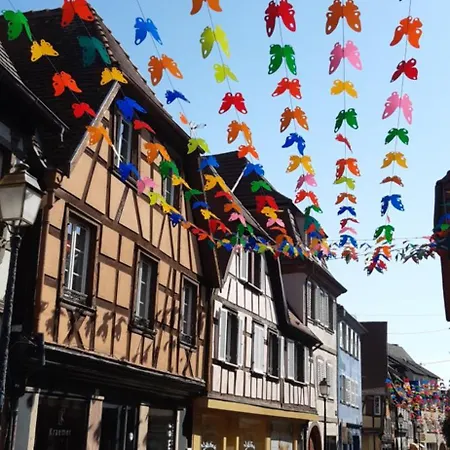 L'appart Avec Terrasse - Centre Historique Апартаменты Барр